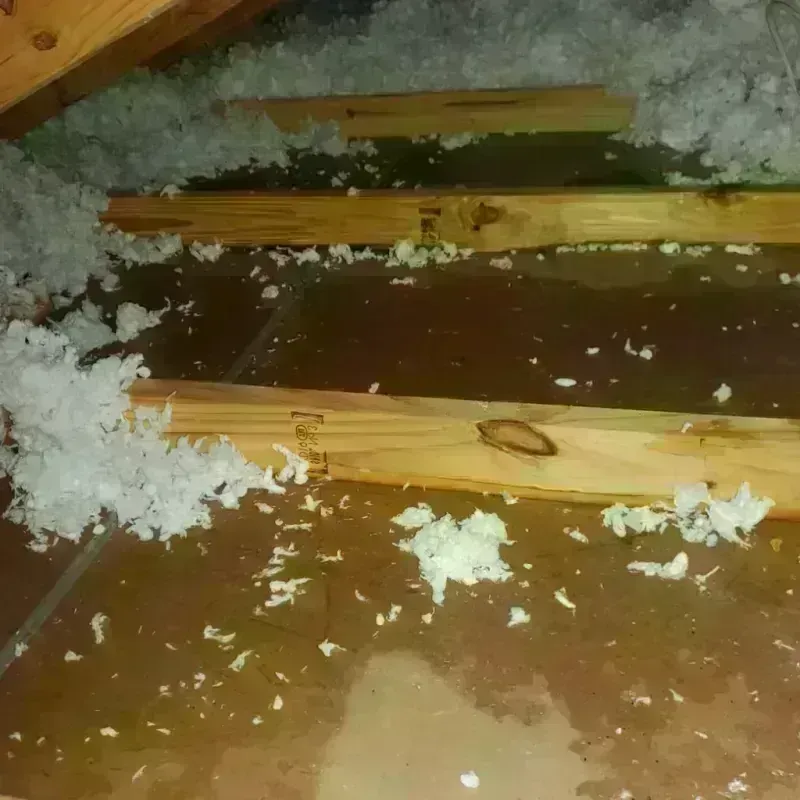 Attic Water Damage in Logan County, ND